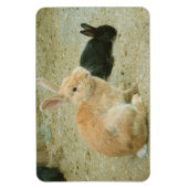 ビッグ・レッド・バニー マグネット (縦)