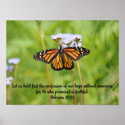 ビッグ(昆虫)オオカバマダラ、モナーク蝶の花のポスターアート ポスター (正面)