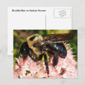 ビッグBee 93 ～はがき ポストカード (正面/裏面)