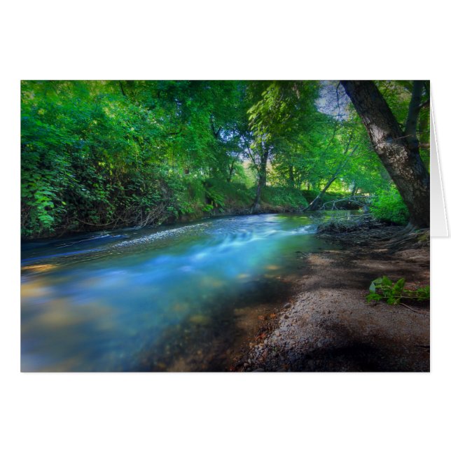 ビッグChicoクリーク (正面横)