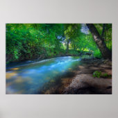 ビッグChicoクリーク ポスター (正面)