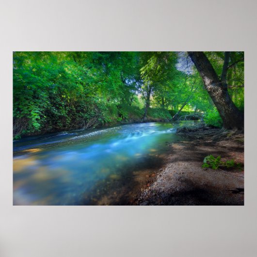 ビッグChicoクリーク ポスター (正面)