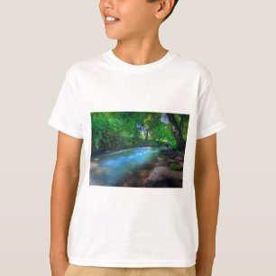 ビッグChicoクリーク Tシャツ