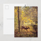 ビッシュ – パルクナショナルデュモントレブラン ポストカード (正面/裏面)