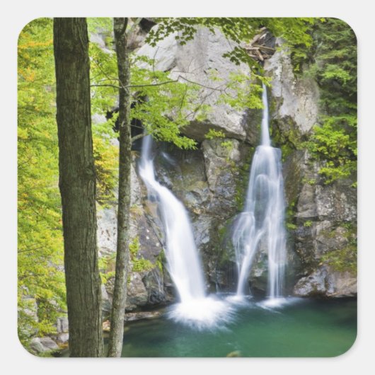 ビッシュBash秋インビッシュBash秋州パーク スクエアシール (正面)