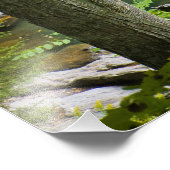 ビッシュBash秋インビッシュBash秋州パーク フォトプリント (角)