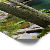 ビッシュBash秋インビッシュBash秋州パーク ポスター (角)