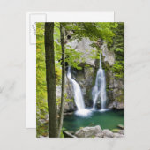 ビッシュBash秋インビッシュBash秋州パーク ポストカード (正面/裏面)