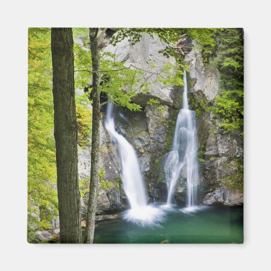 ビッシュBash秋インビッシュBash秋州パーク マグネット (正面)