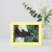 ビッ実在 ポストカード (スタンド正面)