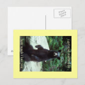 ビッ実在 ポストカード (正面/裏面)