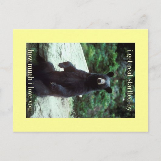 ビッ実在 ポストカード (正面)