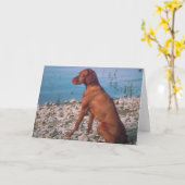 ビツラ カード (黄色い花)