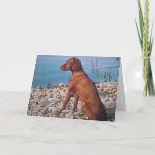 ビツラ カード (正面)