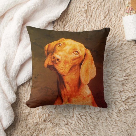 ビツラ クッション (ブランケット)