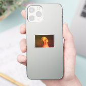 ビツラ シール (スマートフォン)