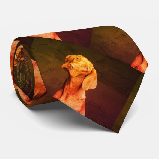 ビツラ ネクタイ (ロール)