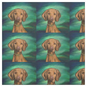 ビツラ ファブリック (見本)