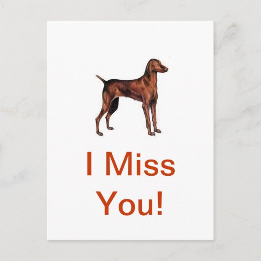 ビツラ ポストカード (正面)