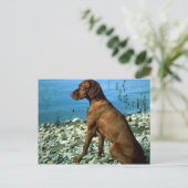 ビツラ ポストカード (スタンド正面)