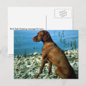 ビツラ ポストカード (正面/裏面)