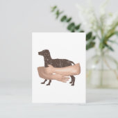 ビツラ ポストカード (スタンド正面)