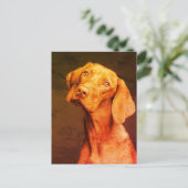 ビツラ ポストカード (スタンド正面)