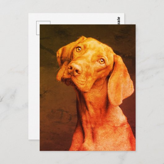 ビツラ ポストカード (正面/裏面)