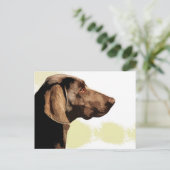 ビツラ ポストカード (スタンド正面)