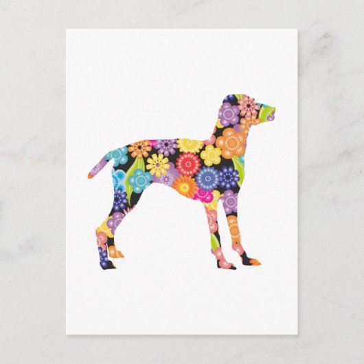 ビツラ ポストカード (正面)