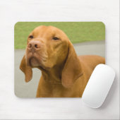 ビツラ マウスパッド (マウス)