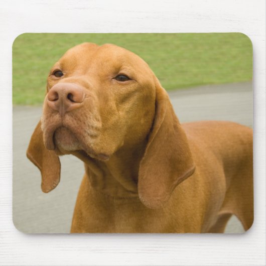 ビツラ マウスパッド (正面)