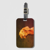 ビツラ ラゲッジタグ (正面縦)