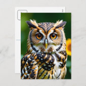 ビティーとウィズダムのはがき シーズンポストカード (正面/裏面)