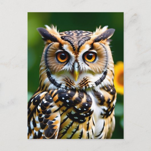 ビティーとウィズダムのはがき シーズンポストカード (正面)