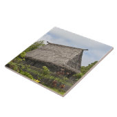 ビティ·レヴ島のフィジ。ポリネシア文化 タイル (側面)