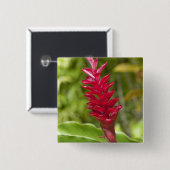 ビティ·レヴ島のフィジ。花。 缶バッジ (正面&裏面)