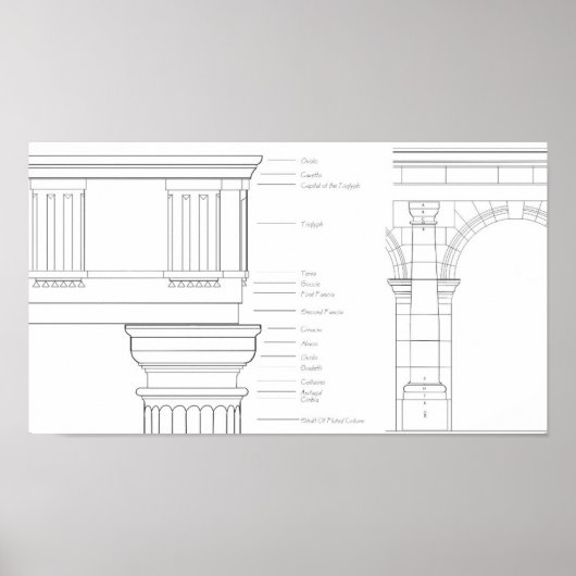 ビトルビアン詳細 ポスター (正面)