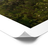 ビナレス ポスター (角)