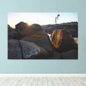 ビナロン湾,火気湾,タスマニア,日の出 キャンバスプリント (インサイチュ (ウッドフロア))