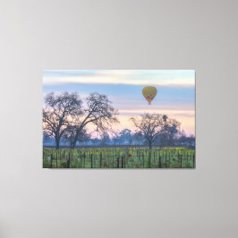 ビニヤード上空のエアバルーン キャンバスプリント