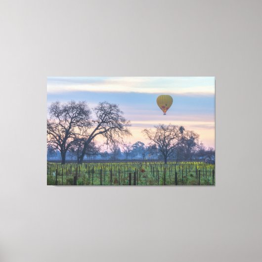 ビニヤード上空のエアバルーン キャンバスプリント (正面)