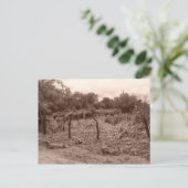 ビニーヤード2 ポストカード (スタンド正面)