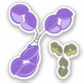 ビニールのシール – パープルIgG （抗体）、ボーナス付き シール (正面)