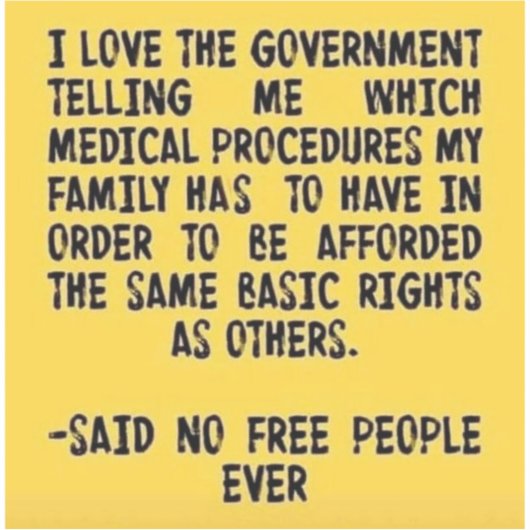 ビニールカスタムカットシール シール (正面)