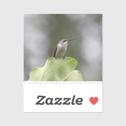 ビニールカスタムカットシール シール (シート)