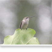 ビニールカスタムカットシール シール (正面)