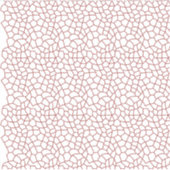 ビニールカスタムカットシール シール (正面)