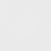 ビニールカスタムカットシール シール (正面)