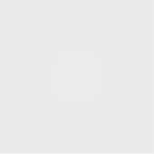 ビニールカスタムカットシール シール (正面)